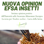 EFSA opinion