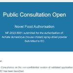 open consultation