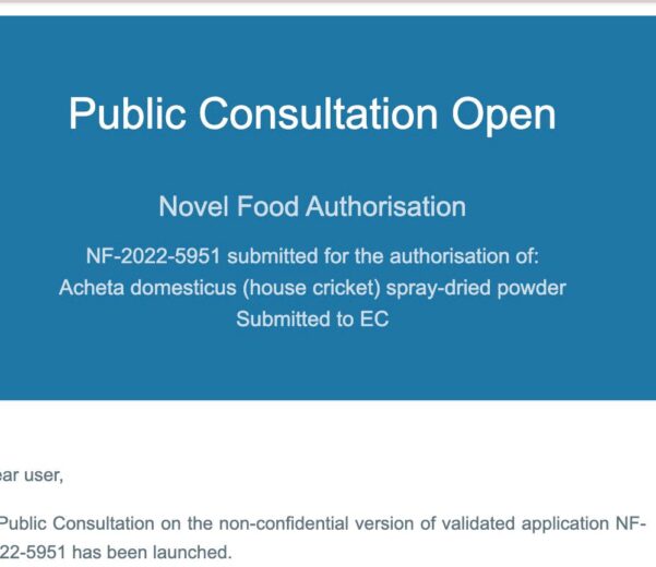 open consultation